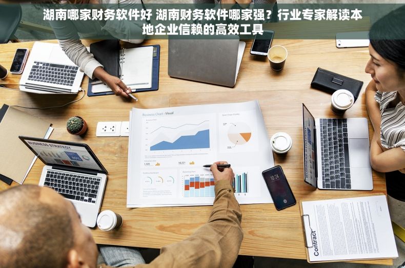 湖南哪家财务软件好 湖南财务软件哪家强？行业专家解读本地企业信赖的高效工具