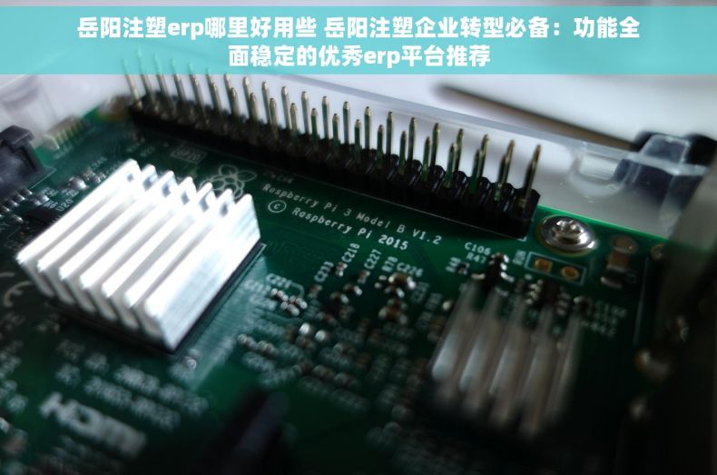 岳阳注塑erp哪里好用些 岳阳注塑企业转型必备：功能全面稳定的优秀erp平台推荐