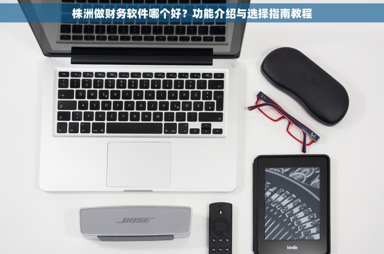 株洲做财务软件哪个好？功能介绍与选择指南教程