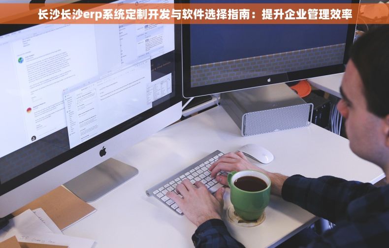 长沙长沙erp系统定制开发与软件选择指南：提升企业管理效率
