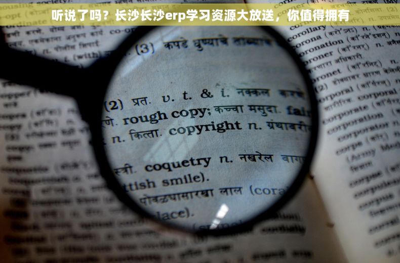 听说了吗？长沙长沙erp学习资源大放送，你值得拥有