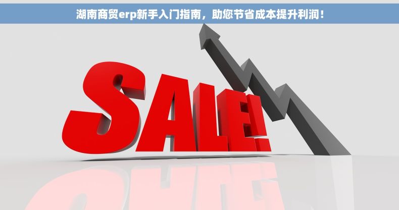 湖南商贸erp新手入门指南，助您节省成本提升利润！