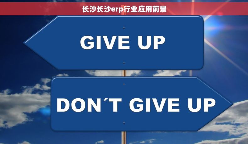 长沙长沙erp行业应用前景