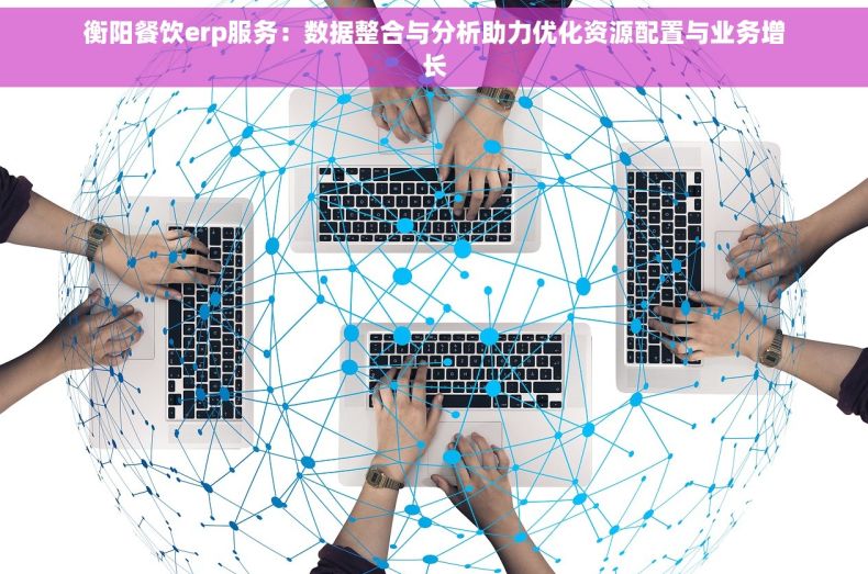 衡阳餐饮erp服务：数据整合与分析助力优化资源配置与业务增长
