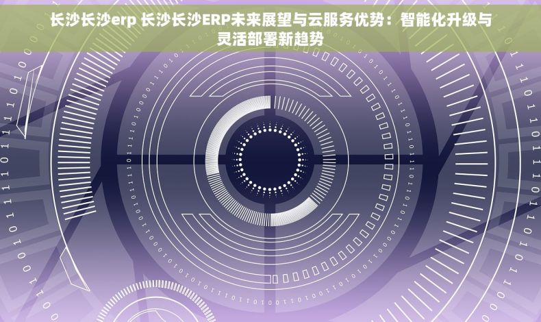 长沙长沙erp 长沙长沙ERP未来展望与云服务优势：智能化升级与灵活部署新趋势
