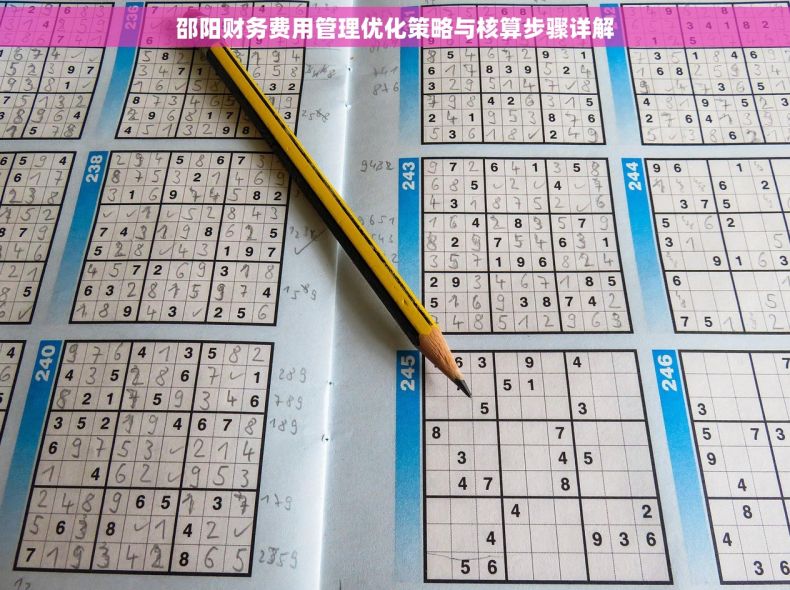 邵阳财务费用管理优化策略与核算步骤详解