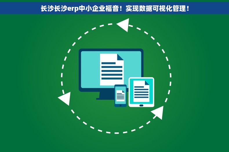 长沙长沙erp中小企业福音！实现数据可视化管理！
