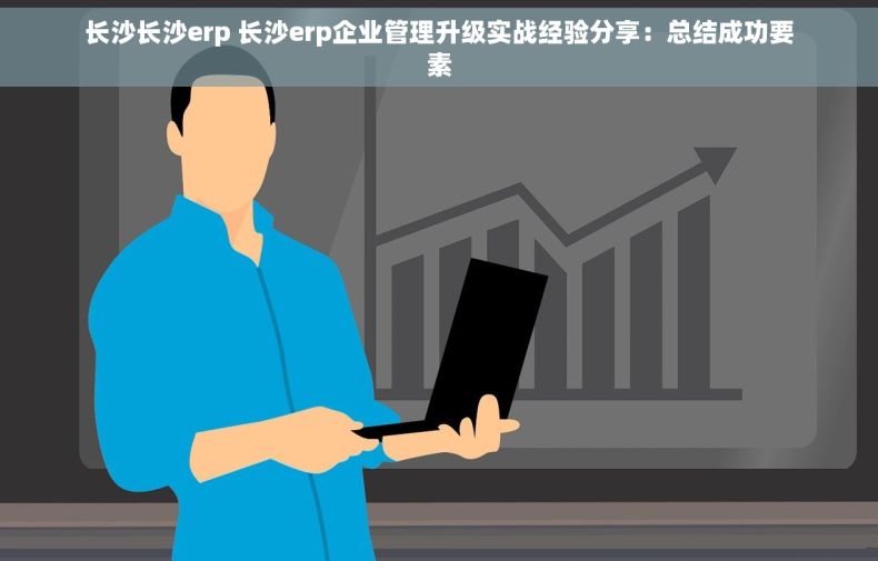 长沙长沙erp 长沙erp企业管理升级实战经验分享：总结成功要素