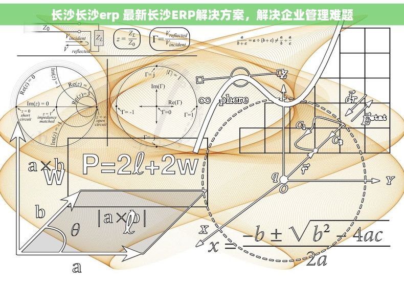 长沙长沙erp 最新长沙ERP解决方案，解决企业管理难题