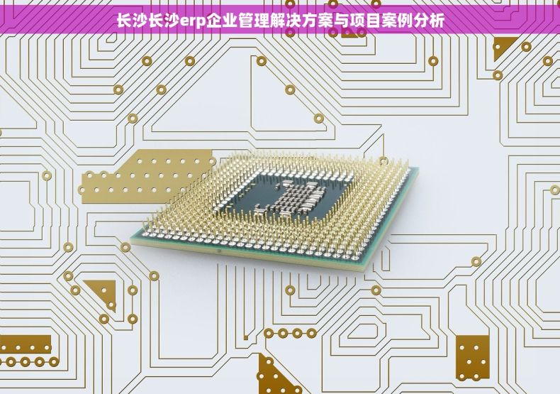 长沙长沙erp企业管理解决方案与项目案例分析