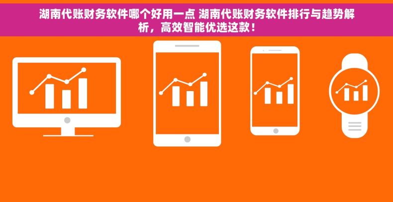 湖南代账财务软件哪个好用一点 湖南代账财务软件排行与趋势解析，高效智能优选这款！
