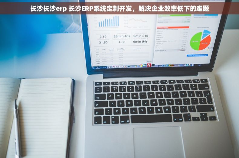 长沙长沙erp 长沙ERP系统定制开发，解决企业效率低下的难题