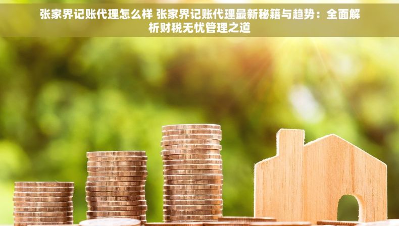 张家界记账代理怎么样 张家界记账代理最新秘籍与趋势：全面解析财税无忧管理之道