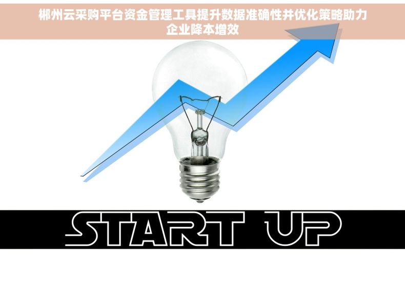 郴州云采购平台资金管理工具提升数据准确性并优化策略助力企业降本增效