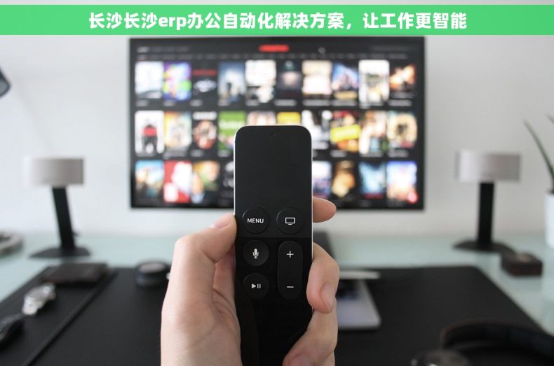长沙长沙erp办公自动化解决方案，让工作更智能