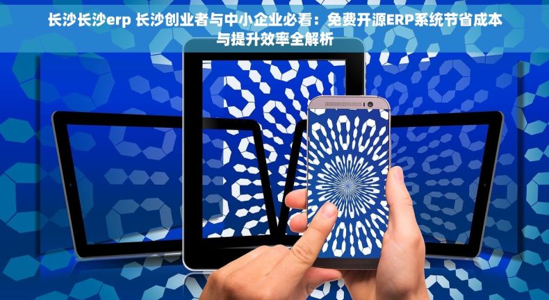 长沙长沙erp 长沙创业者与中小企业必看：免费开源ERP系统节省成本与提升效率全解析