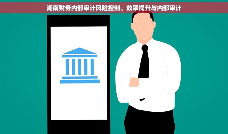 湖南财务内部审计风险控制、效率提升与内部审计