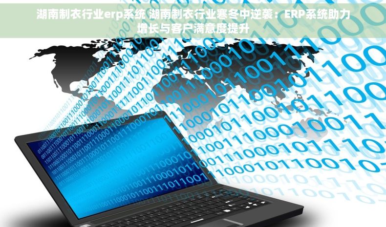 湖南制衣行业erp系统 湖南制衣行业寒冬中逆袭：ERP系统助力增长与客户满意度提升