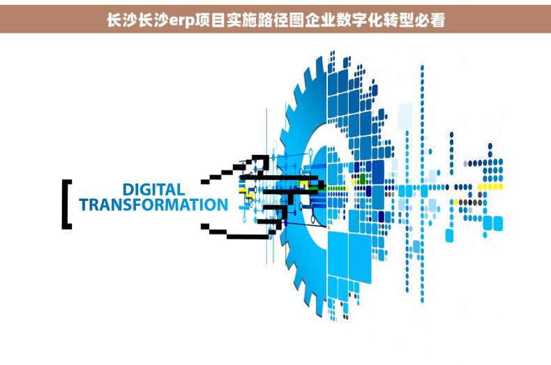 长沙长沙erp项目实施路径图企业数字化转型必看