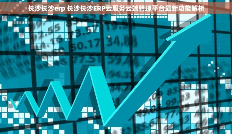 长沙长沙erp 长沙长沙ERP云服务云端管理平台最新功能解析