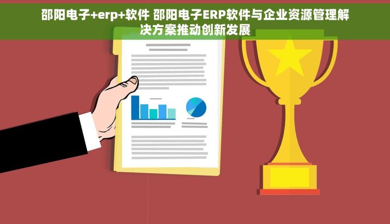邵阳电子+erp+软件 邵阳电子ERP软件与企业资源管理解决方案推动创新发展