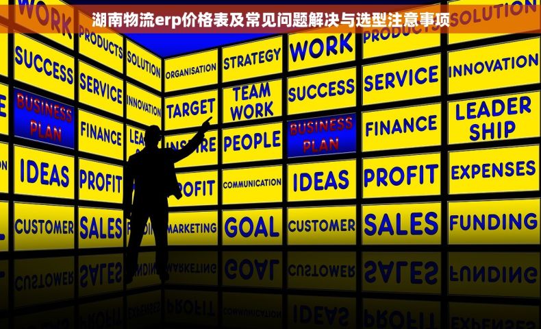 湖南物流erp价格表及常见问题解决与选型注意事项