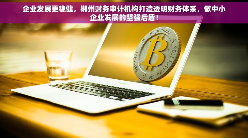 企业发展更稳健，郴州财务审计机构打造透明财务体系，做中小企业发展的坚强后盾！