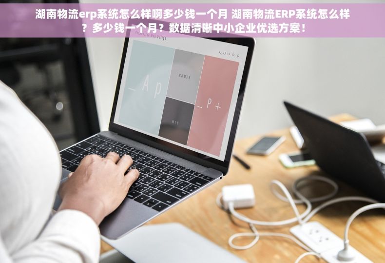湖南物流erp系统怎么样啊多少钱一个月 湖南物流ERP系统怎么样？多少钱一个月？数据清晰中小企业优选方案！