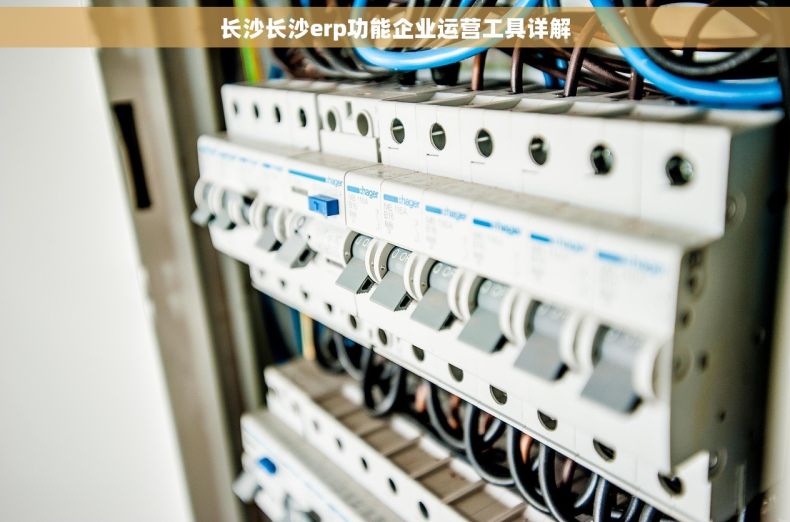 长沙长沙erp功能企业运营工具详解