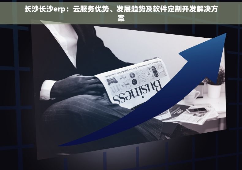 长沙长沙erp：云服务优势、发展趋势及软件定制开发解决方案