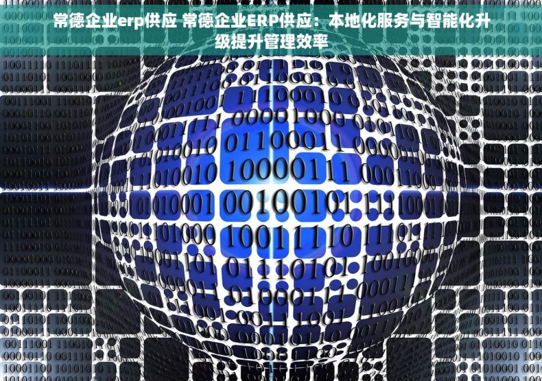 常德企业erp供应 常德企业ERP供应：本地化服务与智能化升级提升管理效率