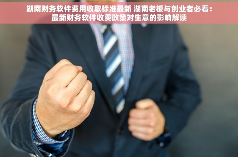 湖南财务软件费用收取标准最新 湖南老板与创业者必看：最新财务软件收费政策对生意的影响解读