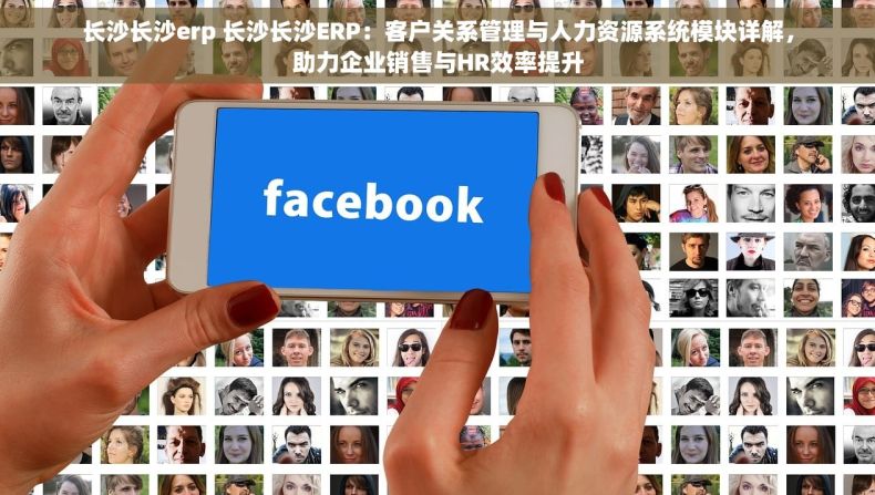 长沙长沙erp 长沙长沙ERP：客户关系管理与人力资源系统模块详解，助力企业销售与HR效率提升