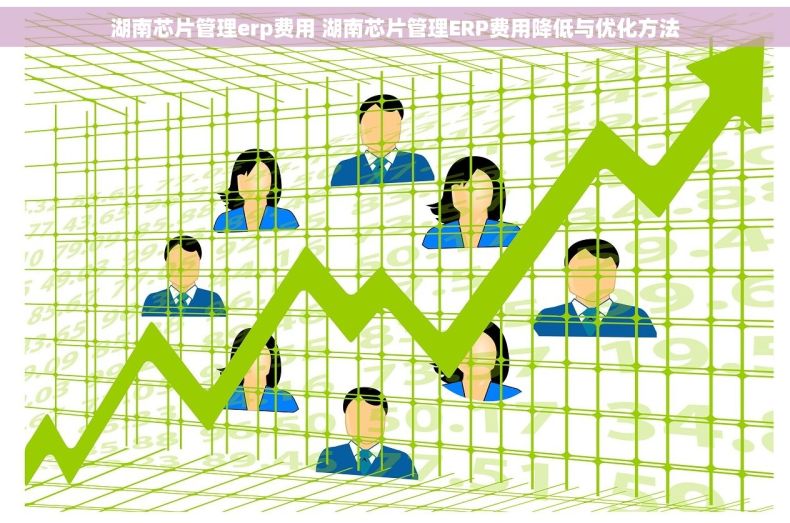 湖南芯片管理erp费用 湖南芯片管理ERP费用降低与优化方法