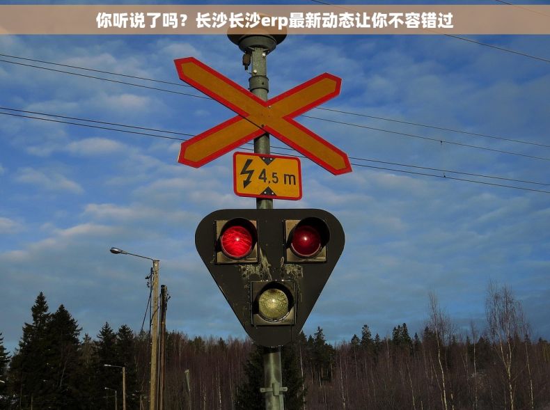 你听说了吗？长沙长沙erp最新动态让你不容错过