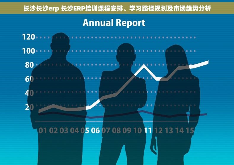 长沙长沙erp 长沙ERP培训课程安排、学习路径规划及市场趋势分析