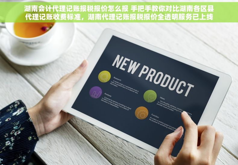 湖南会计代理记账报税报价怎么报 手把手教你对比湖南各区县代理记账收费标准，湖南代理记账报税报价全透明服务已上线