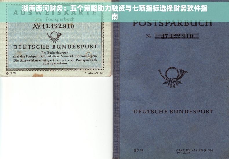 湖南西河财务：五个策略助力融资与七项指标选择财务软件指南
