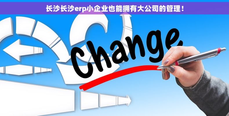 长沙长沙erp小企业也能拥有大公司的管理！