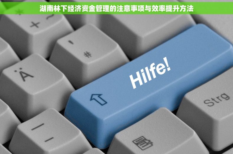 湖南林下经济资金管理的注意事项与效率提升方法