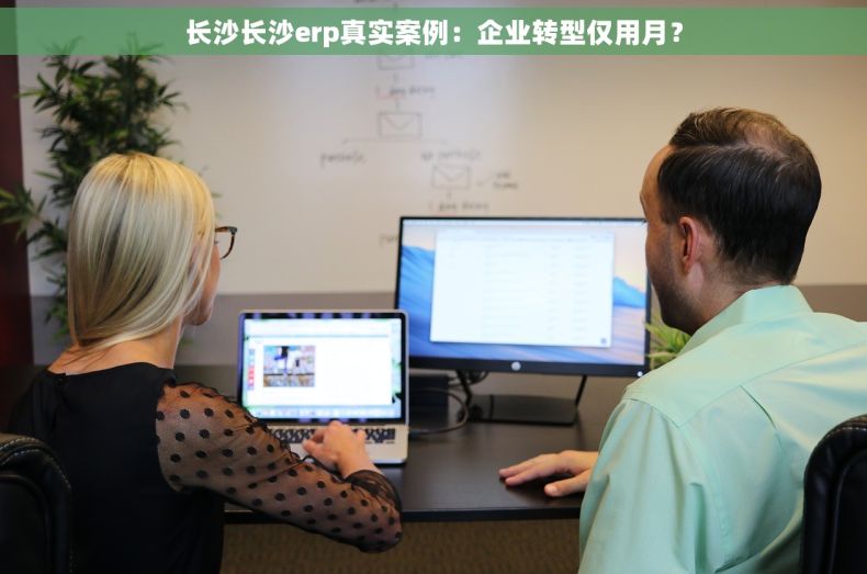 长沙长沙erp真实案例：企业转型仅用月？