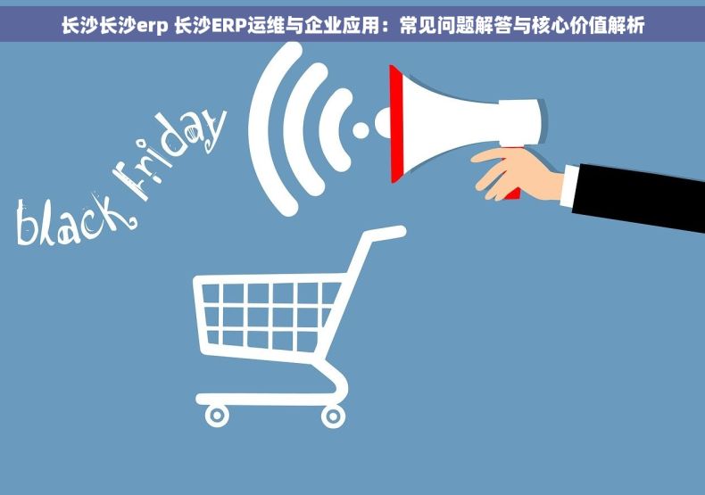 长沙长沙erp 长沙ERP运维与企业应用：常见问题解答与核心价值解析