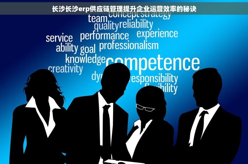 长沙长沙erp供应链管理提升企业运营效率的秘诀