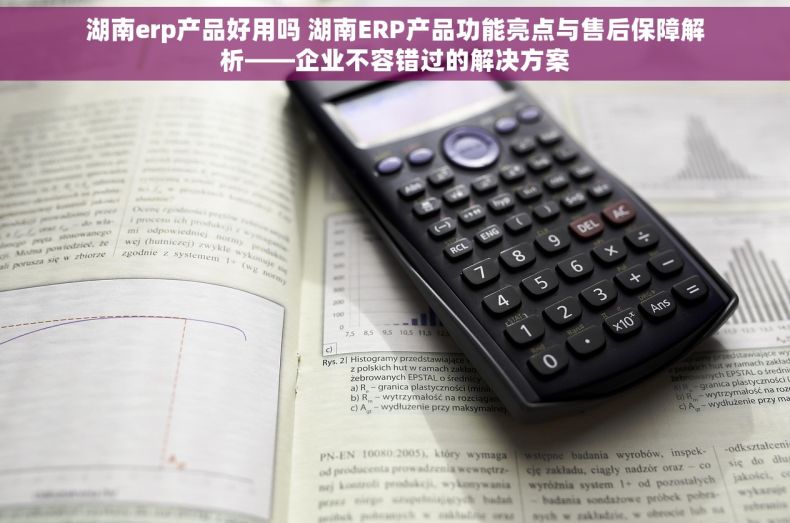 湖南erp产品好用吗 湖南ERP产品功能亮点与售后保障解析——企业不容错过的解决方案