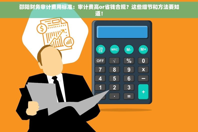 邵阳财务审计费用标准：审计费高or省钱合规？这些细节和方法要知道！