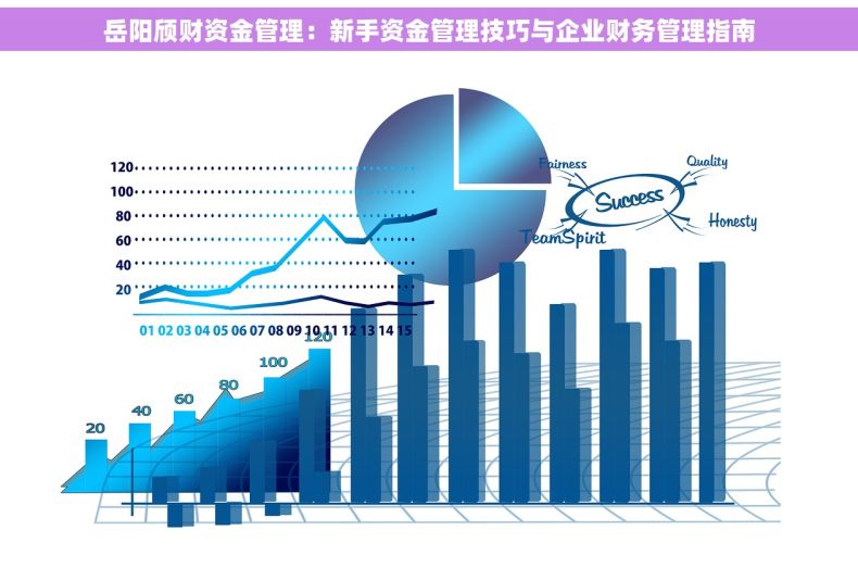 岳阳颀财资金管理：新手资金管理技巧与企业财务管理指南
