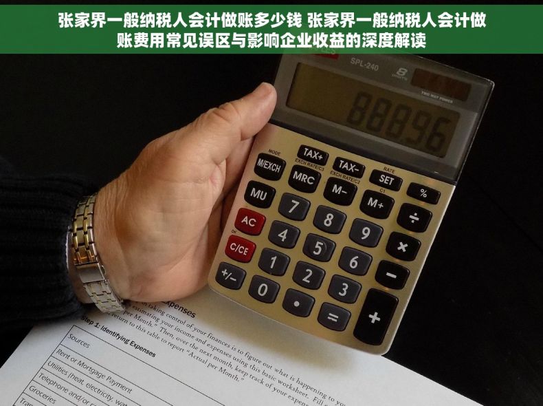 张家界一般纳税人会计做账多少钱 张家界一般纳税人会计做账费用常见误区与影响企业收益的深度解读