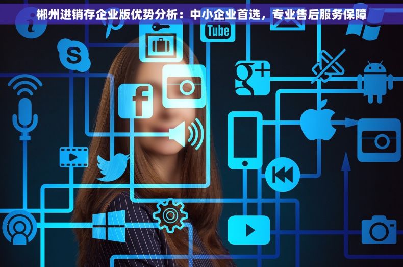 郴州进销存企业版优势分析：中小企业首选，专业售后服务保障
