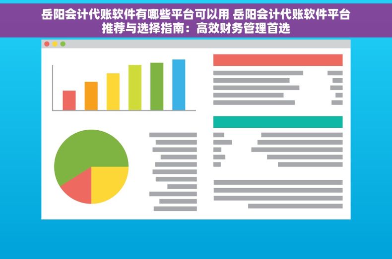 岳阳会计代账软件有哪些平台可以用 岳阳会计代账软件平台推荐与选择指南：高效财务管理首选