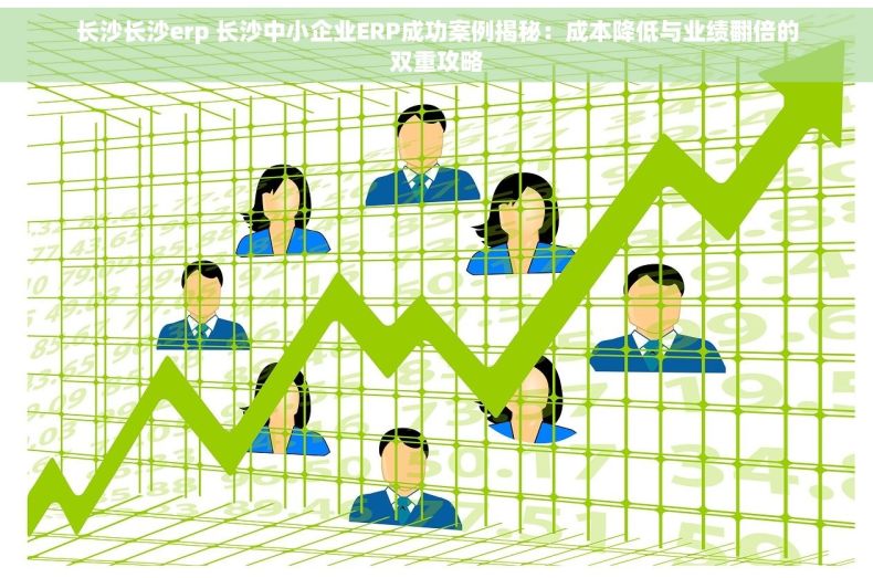 长沙长沙erp 长沙中小企业ERP成功案例揭秘：成本降低与业绩翻倍的双重攻略